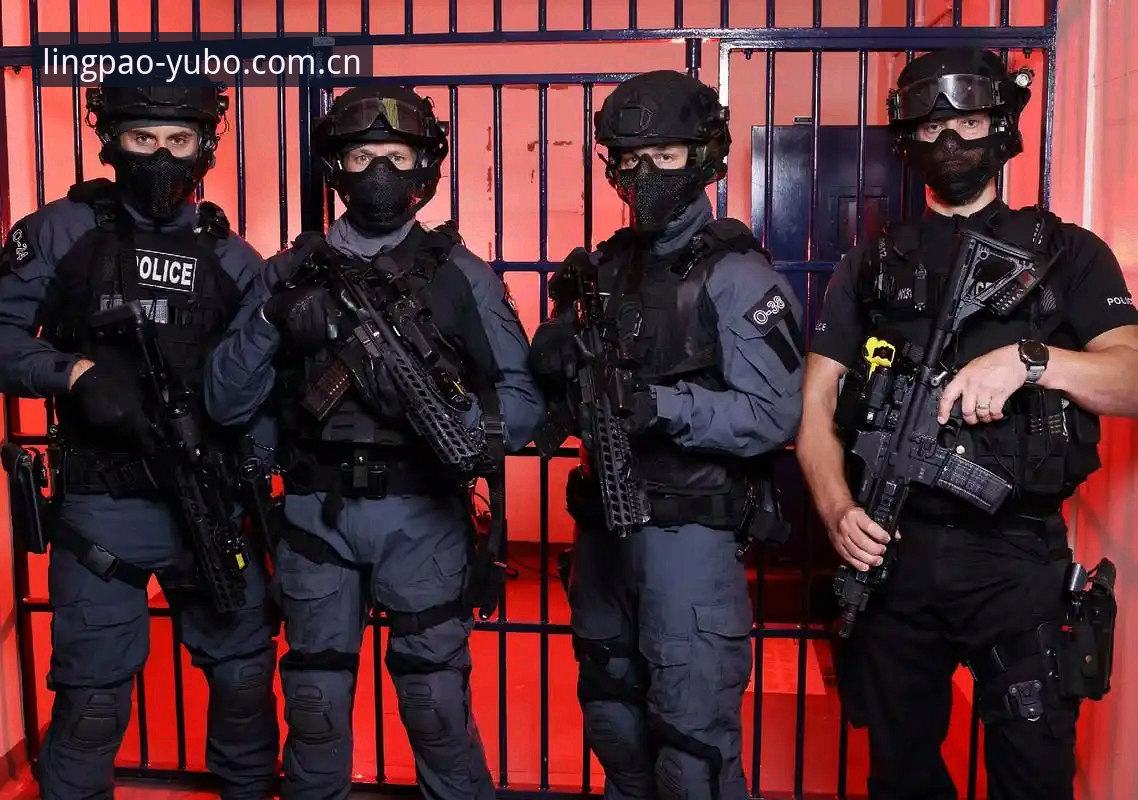 世界杯安保警力配置操作教程——从英国警员赴美看重大赛事安全策略