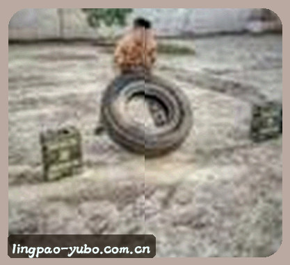 老马