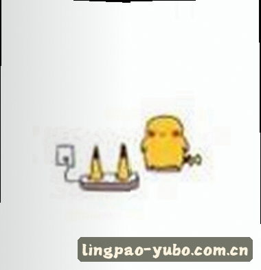 小杨